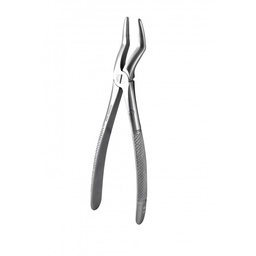 [366001100] Davier adulte n° 51, racines supérieures, 18 cm