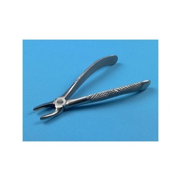 [366001152] Davier adulte n° 7, prémolaires supérieures, 17 cm