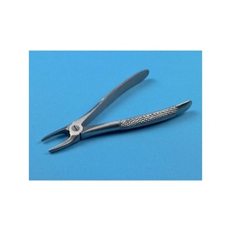 [366001155] Davier adulte, n° 29, incisives supérieures, 17 cm