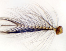 [135007328] Moustique antenne, s.e.