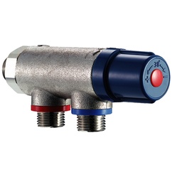 [208000491] Mitigeur Thermostatique pour laveur d'yeux de sécurité