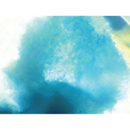[CCK041-1KT] HiPer® Teaching Kit forChondrogenic Differentiation andStaining