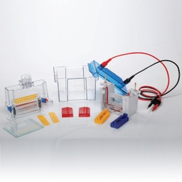 [LA1070-1NO] Wee-Vert® Vertical Electrophoresis System